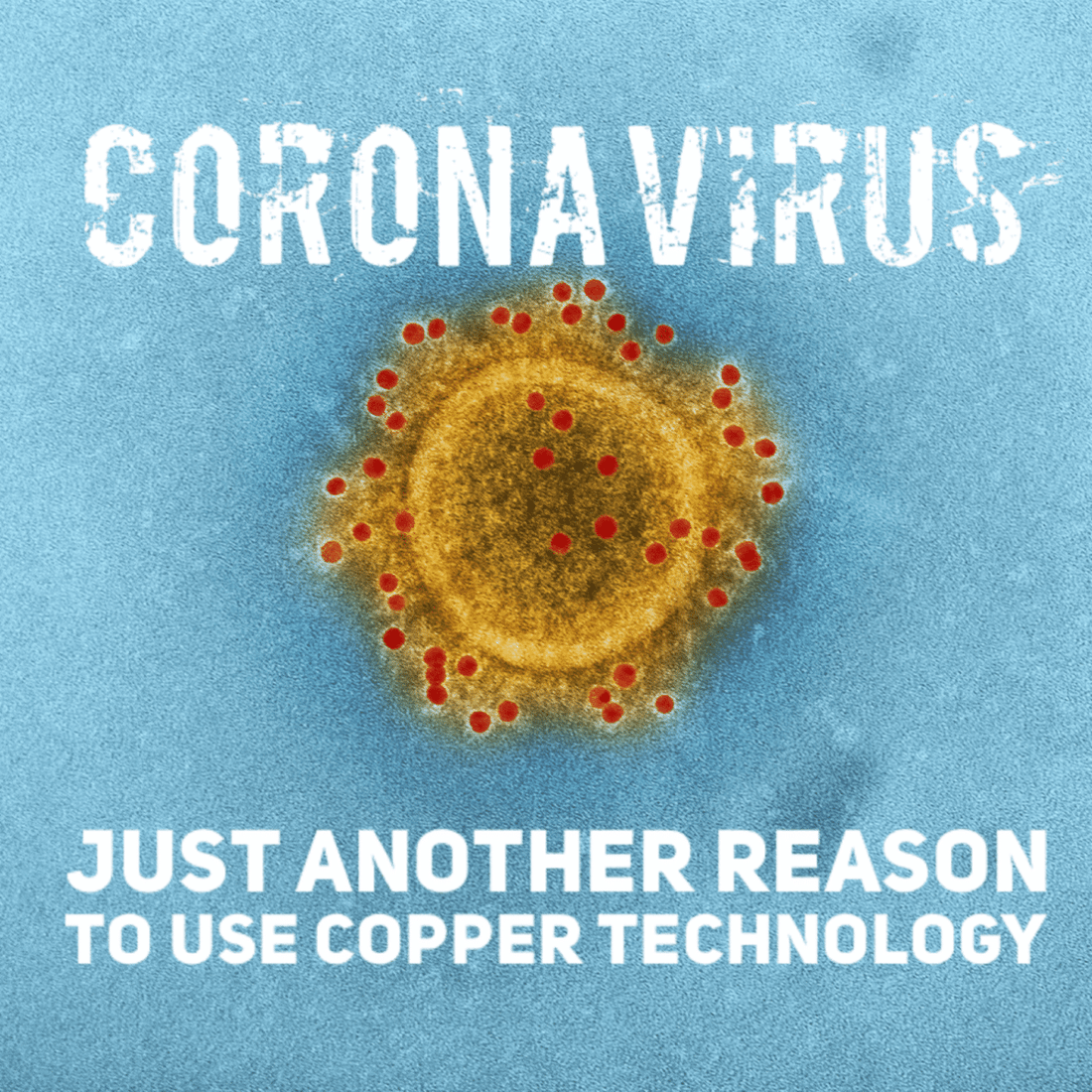 Why Copper is Fatal to Coronavirus (and Other Superbugs)